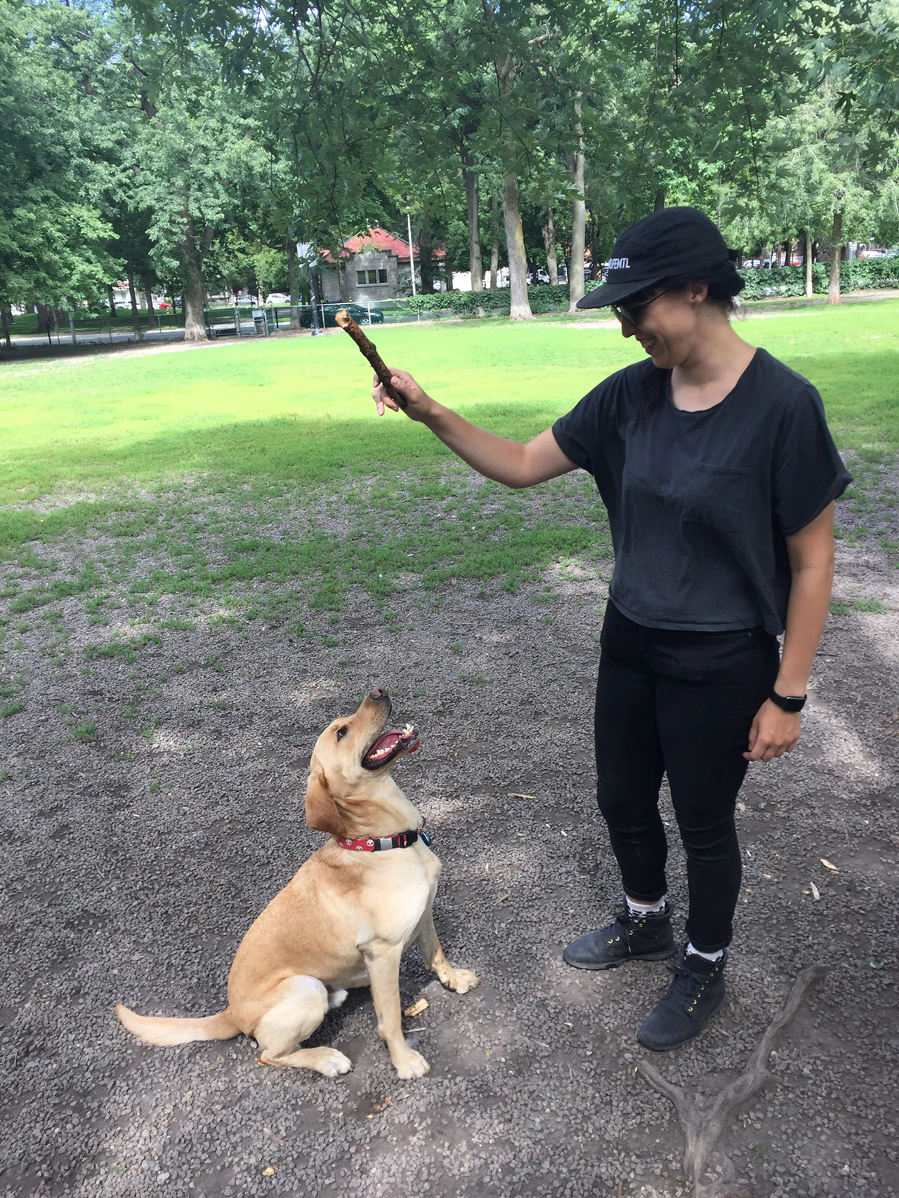 De La Necessite De Promener Son Chien Au Moins Une Heure Par Jour Urbania